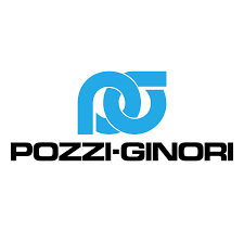 pozzi ginori